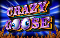 Crazy Goose logo