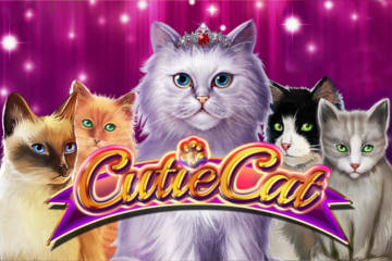 Cutie Cat logo