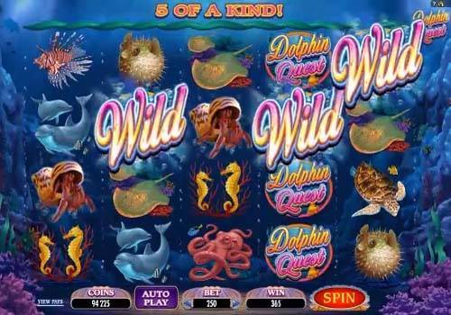 Dolphin Quest Microgaming