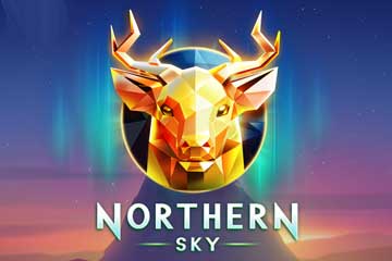 Northern Sky logo