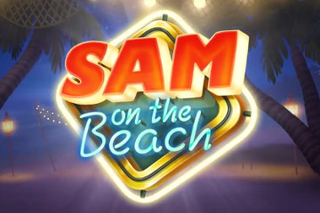 Sam on the Beach