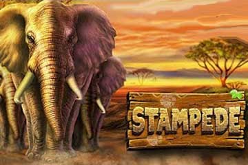Stampede logo