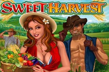 Sweet Harvest logo