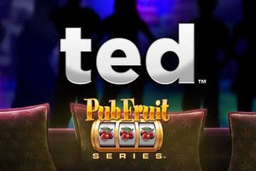 Ted Pub Fruit logo