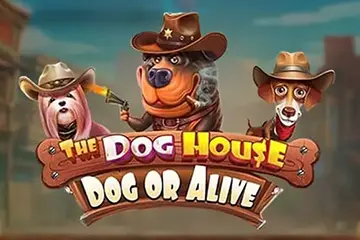 The Dog House Dog or Alive Slot Game