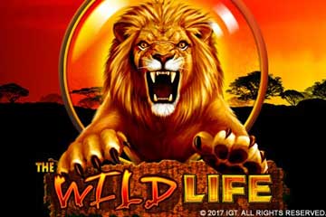 The Wild Life logo