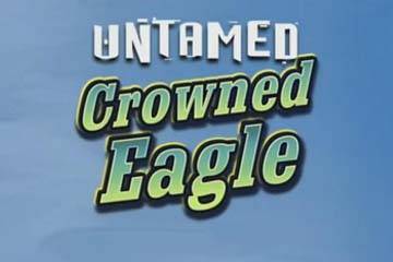Untamed Crowned Eagle logo