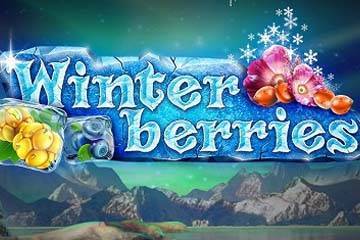 Winter Berries logo